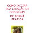 criação de codornas