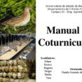COTURNICULTURA - MANUAL DO CRIADOR